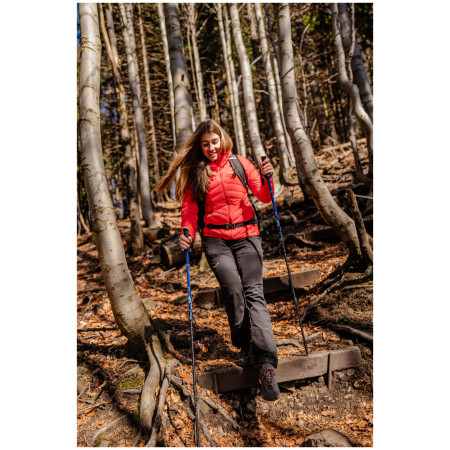 Kije trekkingowe Warg Explorer Antishock