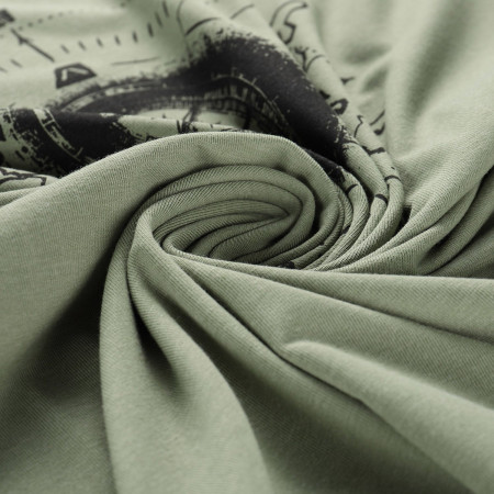 Koszulka męska Alpine Pro Morol