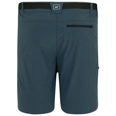 Spodenki męskie Regatta Xert Stretch Shorts