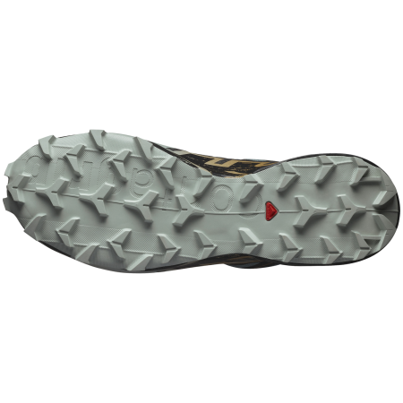 Buty do biegania dla mężczyzn Salomon Speedcross 6 Gore-Tex