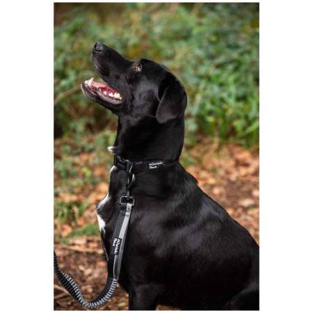 Smycz z amortyzatorem Mountain Paws Stretch Dog Lead