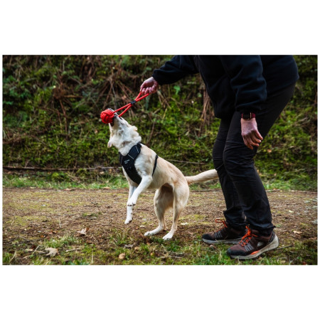 Zabawka dla psa Mountain Paws Ball Chew Rope Dog Toy