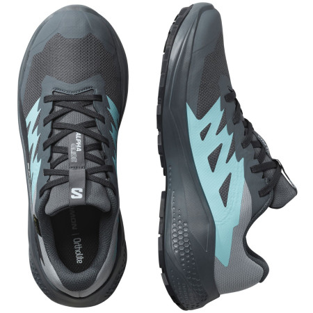 Buty damskie Salomon Alphaglide Gore-Tex