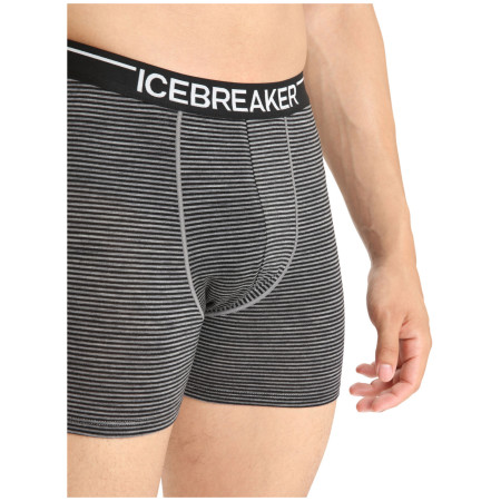 Męskie bokserki Icebreaker Mens Anatomica Boxers