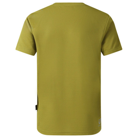 T-shirt dziecięcy Dare 2b Amuse III Tee Goldn Cypress
