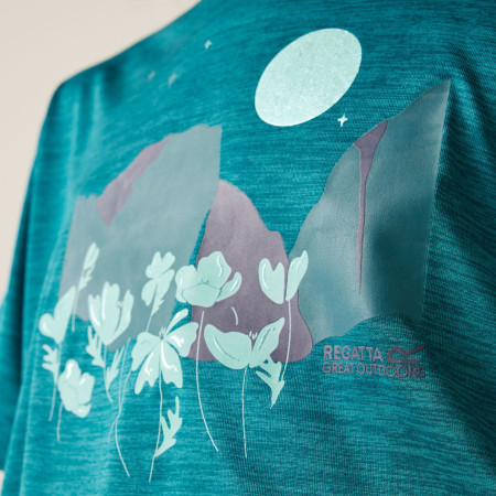 T-shirt dziecięcy Regatta Alvarado IX