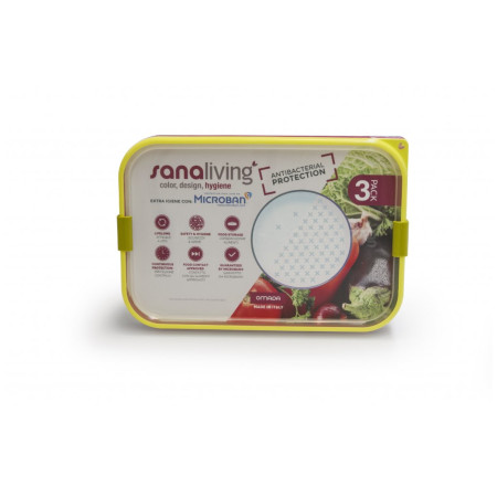 Pudełko na jedzenie Omada Sanaliving Box Set 3x 24x16,5x5cm/1L