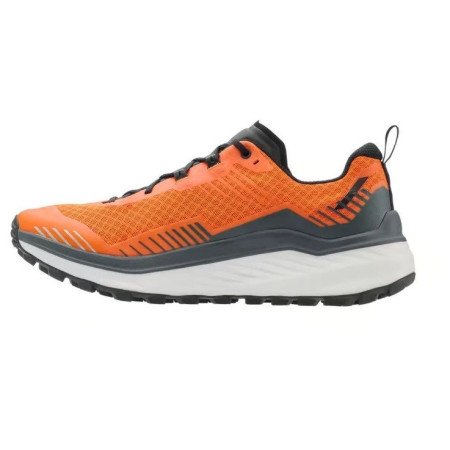Buty do biegania Lowa Skyterra