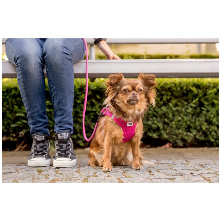 Smycz dla psa Curli Stretch Comfort Leash