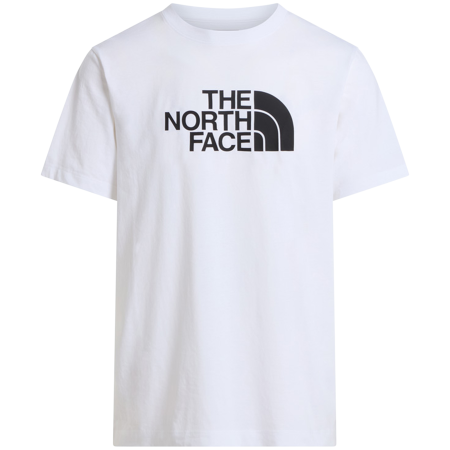 Koszulka męska The North Face Evolution Half Dome Regular Short Slee
