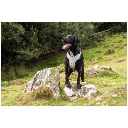 Szelki dla psa Mountain Paws Reflective Dog Harness