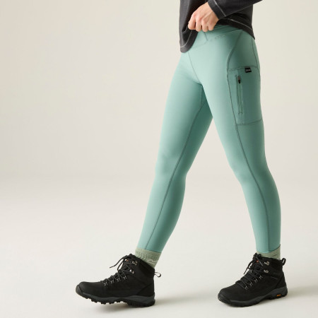 Damskie legginsy Regatta Monira Hiking Legging