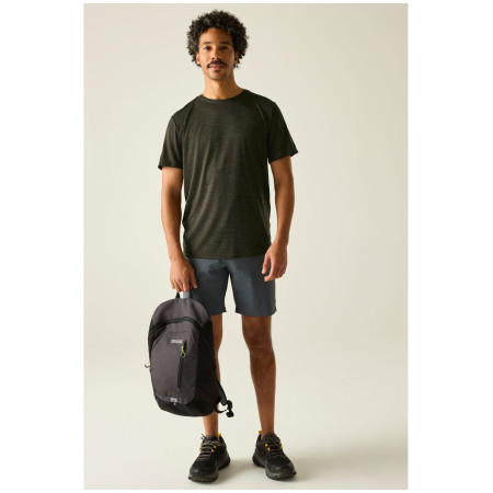 Koszulka męska Regatta Fingal Edition