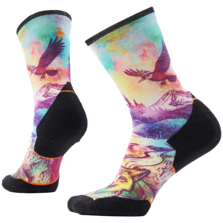 Skarpety Smartwool Women's Trail Run Targeted Cushion Seren mix1