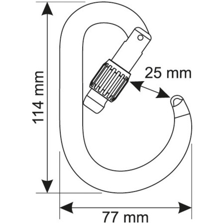 Karabinek Camp Core Lock