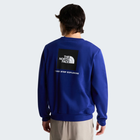 Bluza męska The North Face M Evolution Box Nse Regular Crew