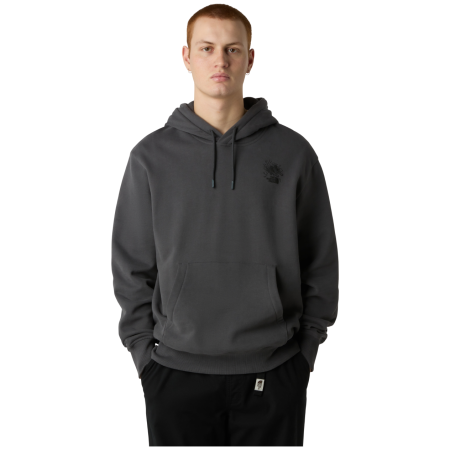 Męska bluza The North Face U Powder Days Relaxed Hd Sws-Graphic