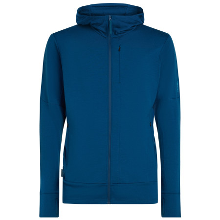 Męska bluza Icebreaker M Mer 260 Quantum IV LS Zip Hoodie