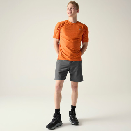 Spodenki męskie Dare 2b Torrek II Short