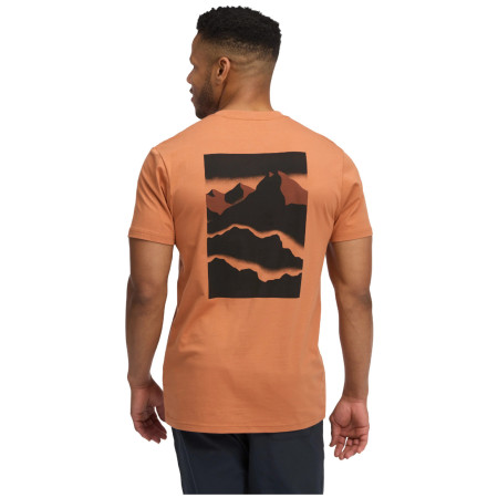 Koszulka męska Black Diamond M Mountainscape SS Tee