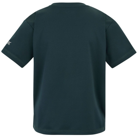 T-shirt dziecięcy Regatta Alvarado Night Sky