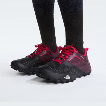 Damskie buty do biegania The North Face W Offtrail TR Gore-Tex