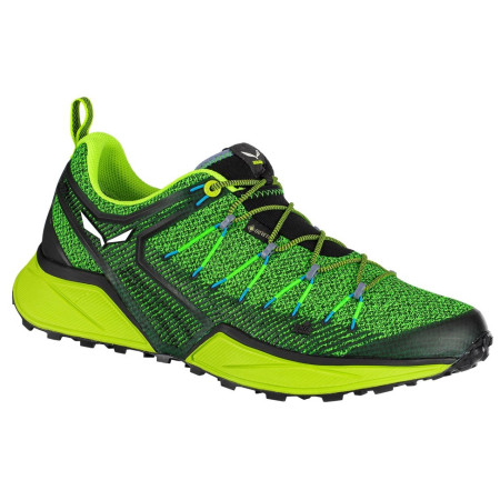Buty męskie Salewa Ms Dropline Gtx