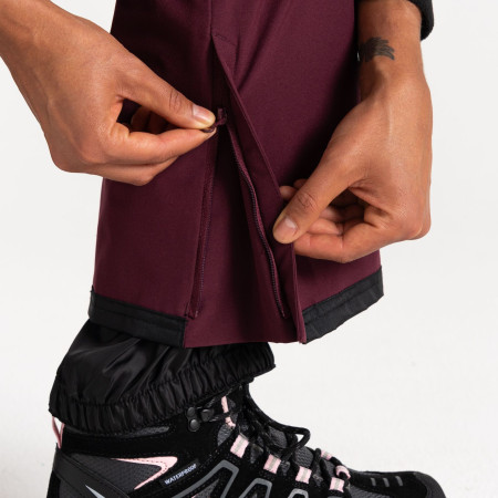 Damskie spodnie narciarskie Dare 2b Diminish Pant