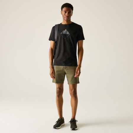 Koszulka męska Regatta Breezed