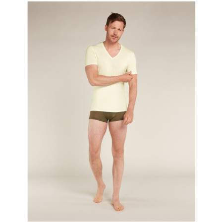 Koszulka męska Icebreaker Mens Anatomica SS V