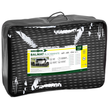 Dywan Brunner Balmat 250x350 cm