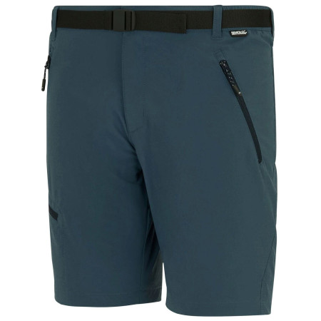 Spodenki męskie Regatta Xert Stretch Shorts