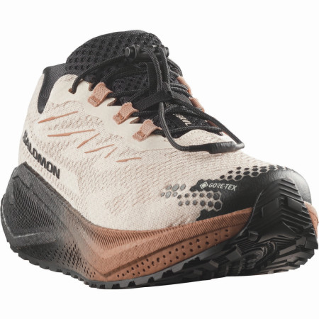 Damskie buty do biegania Salomon Aero Blaze 4 Grvl GTX W