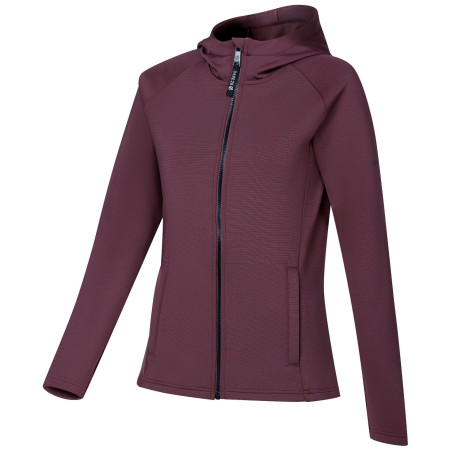 Bluza damska Dare 2b Glacier Midlayer