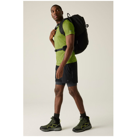 Koszulka męska Regatta Fingal Edition