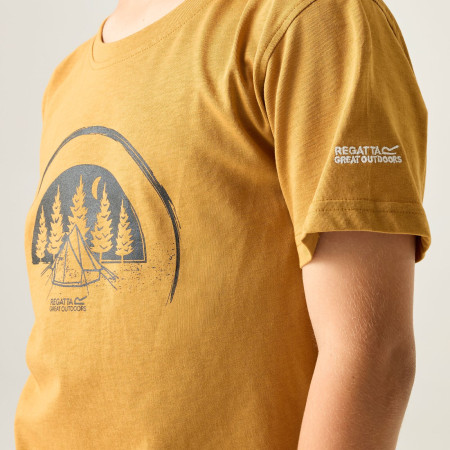 T-shirt dziecięcy Regatta Bosley Wood Brown