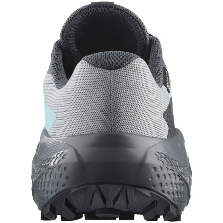 Buty damskie Salomon Alphaglide Gore-Tex