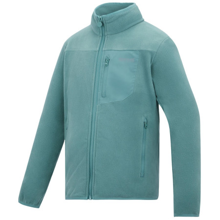 Bluza dziecięca Regatta Junior Frankie F/Z Ivy Moss