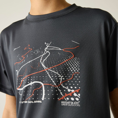 T-shirt dziecięcy Regatta Alvarado Seal Grey