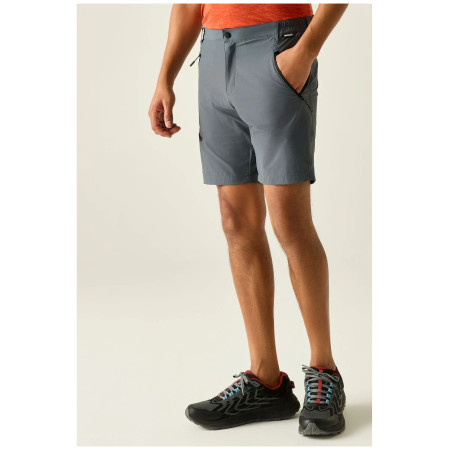 Spodenki męskie Regatta Xert Stretch Shorts