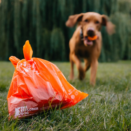 Woreczki na psie odchody Explorer Dog Eko Exbags 60 ks