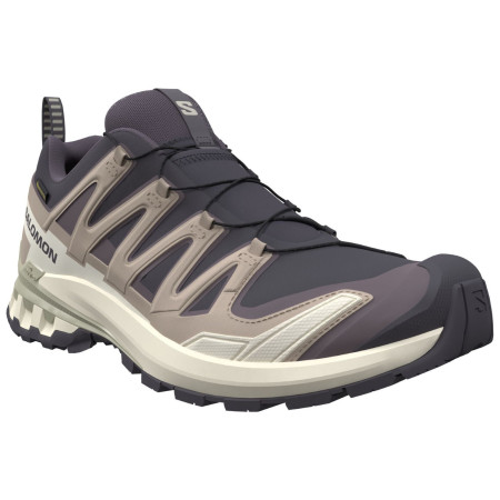 Damskie buty turystyczne Salomon Xa Pro 3D V9 Gore-Tex