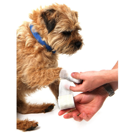 Apteczka dla psa Mountain Paws Dog First Aid Kit
