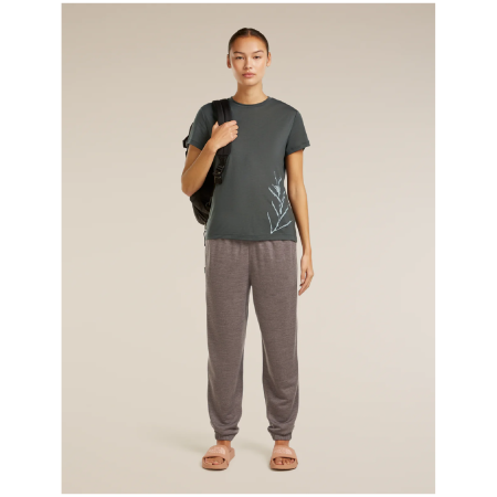 Damska koszulka Icebreaker Merino Blend Core SS Tee Panax