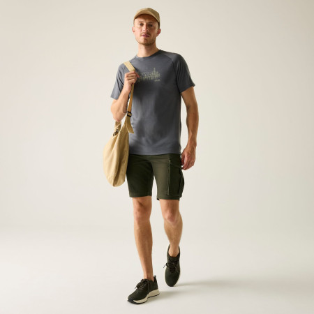 Spodenki męskie Regatta Bendrick Shorts