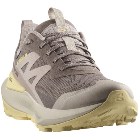 Damskie buty trekkingowe Salomon Elixir Activ Gore-Tex