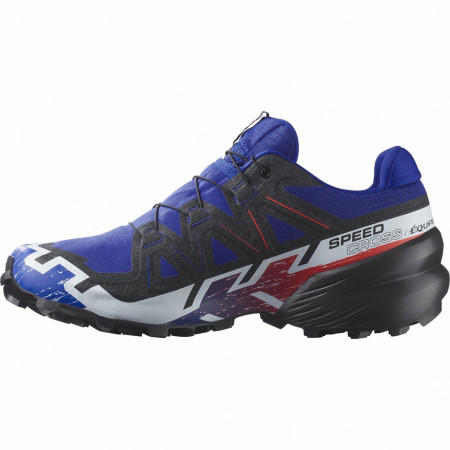 Buty męskie Salomon Speedcross 6 Gore-Tex Equipe