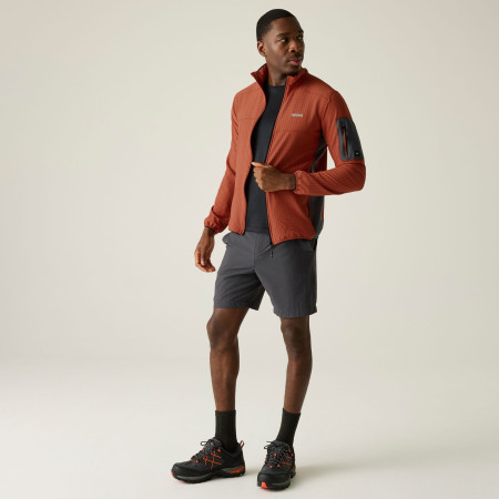 Męska bluza Regatta Baslinn