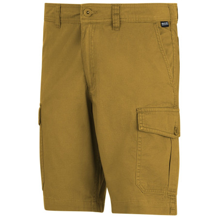 Spodenki męskie Regatta Ruwan Shorts