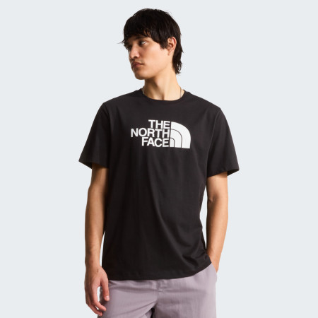 Koszulka męska The North Face Evolution Half Dome Regular Short Slee